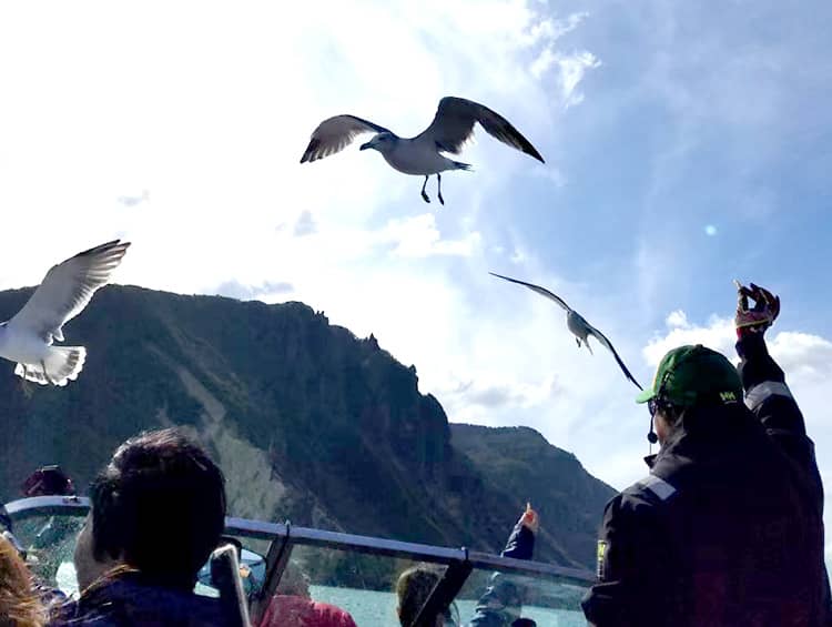 休日の過ごし方