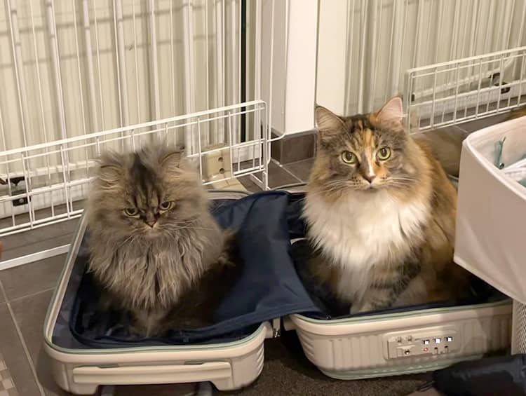 休日の過ごし方