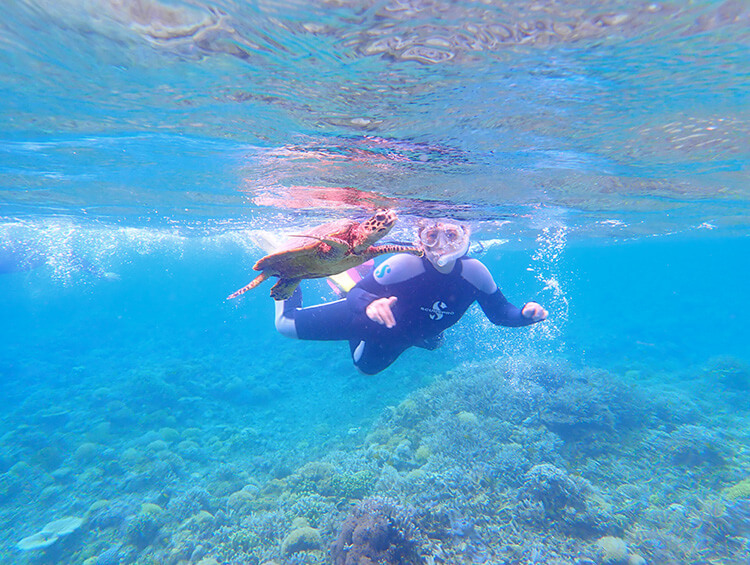 休日の過ごし方