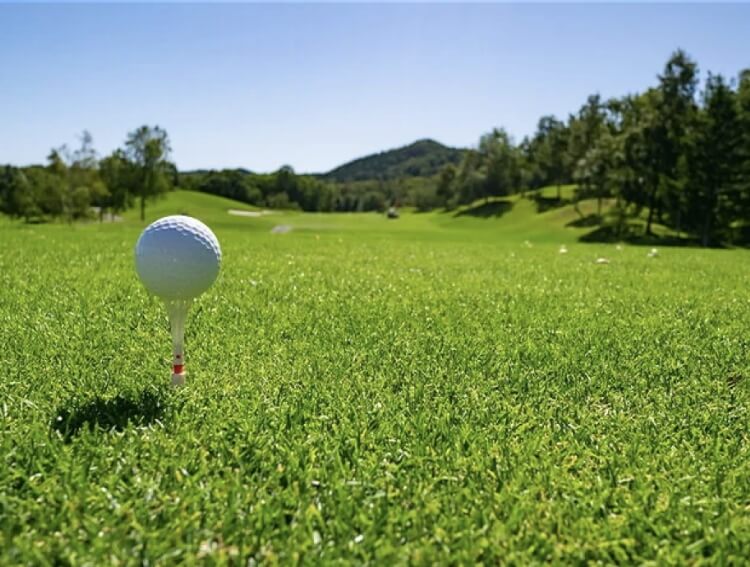 休日の過ごし方